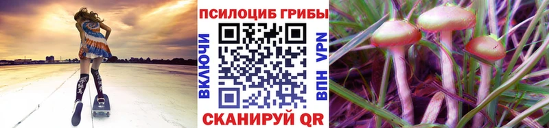 Галлюциногенные грибы мицелий  Чусовой 